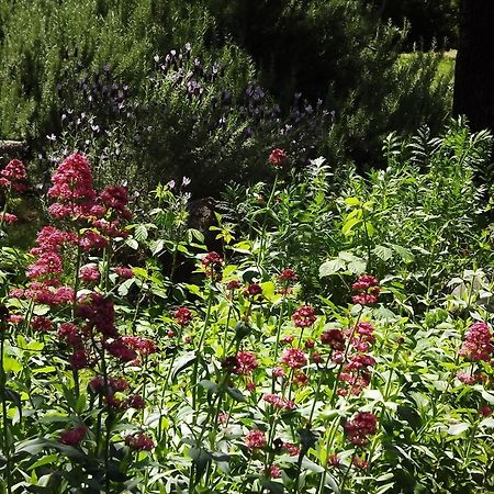 Bed and Breakfast Backyard Garden Oasis Middletown Экстерьер фото