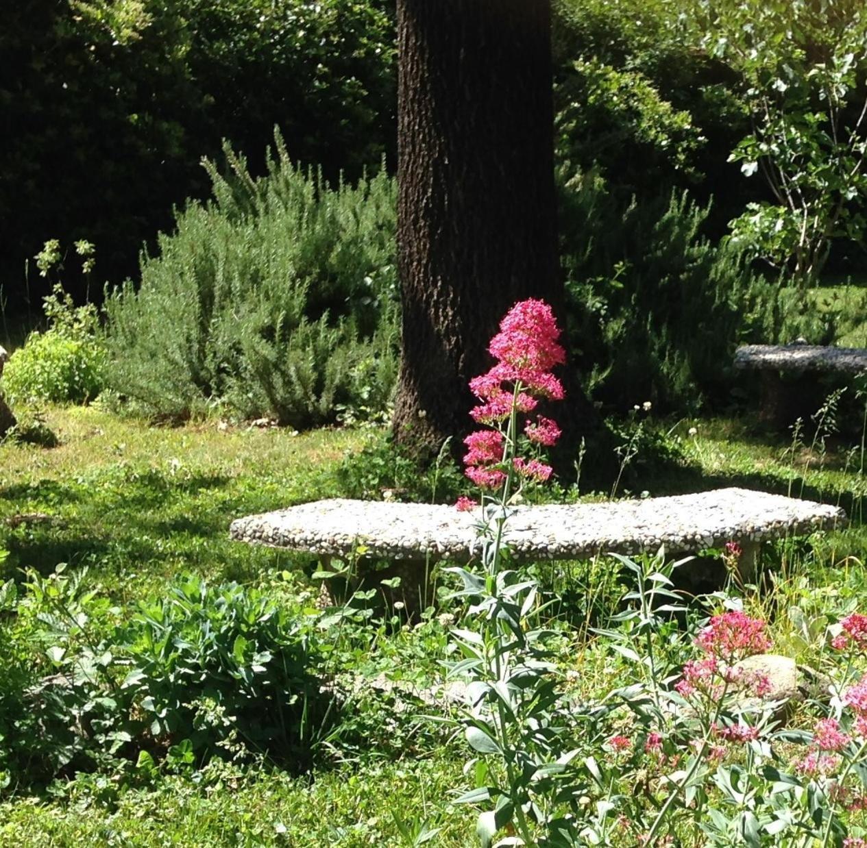 Bed and Breakfast Backyard Garden Oasis Middletown Экстерьер фото