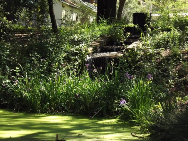 Bed and Breakfast Backyard Garden Oasis Middletown Экстерьер фото