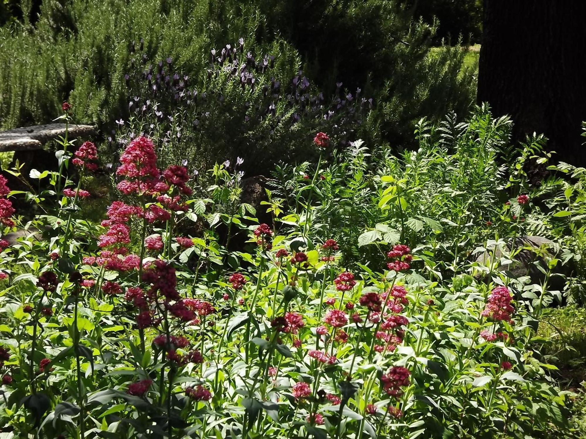 Bed and Breakfast Backyard Garden Oasis Middletown Экстерьер фото