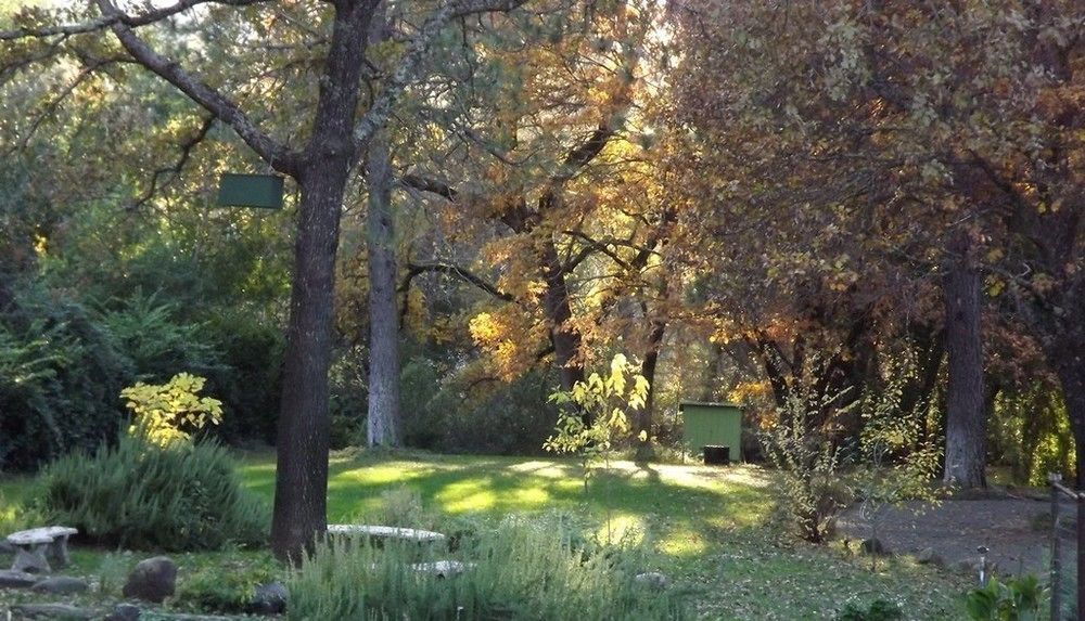 Bed and Breakfast Backyard Garden Oasis Middletown Экстерьер фото