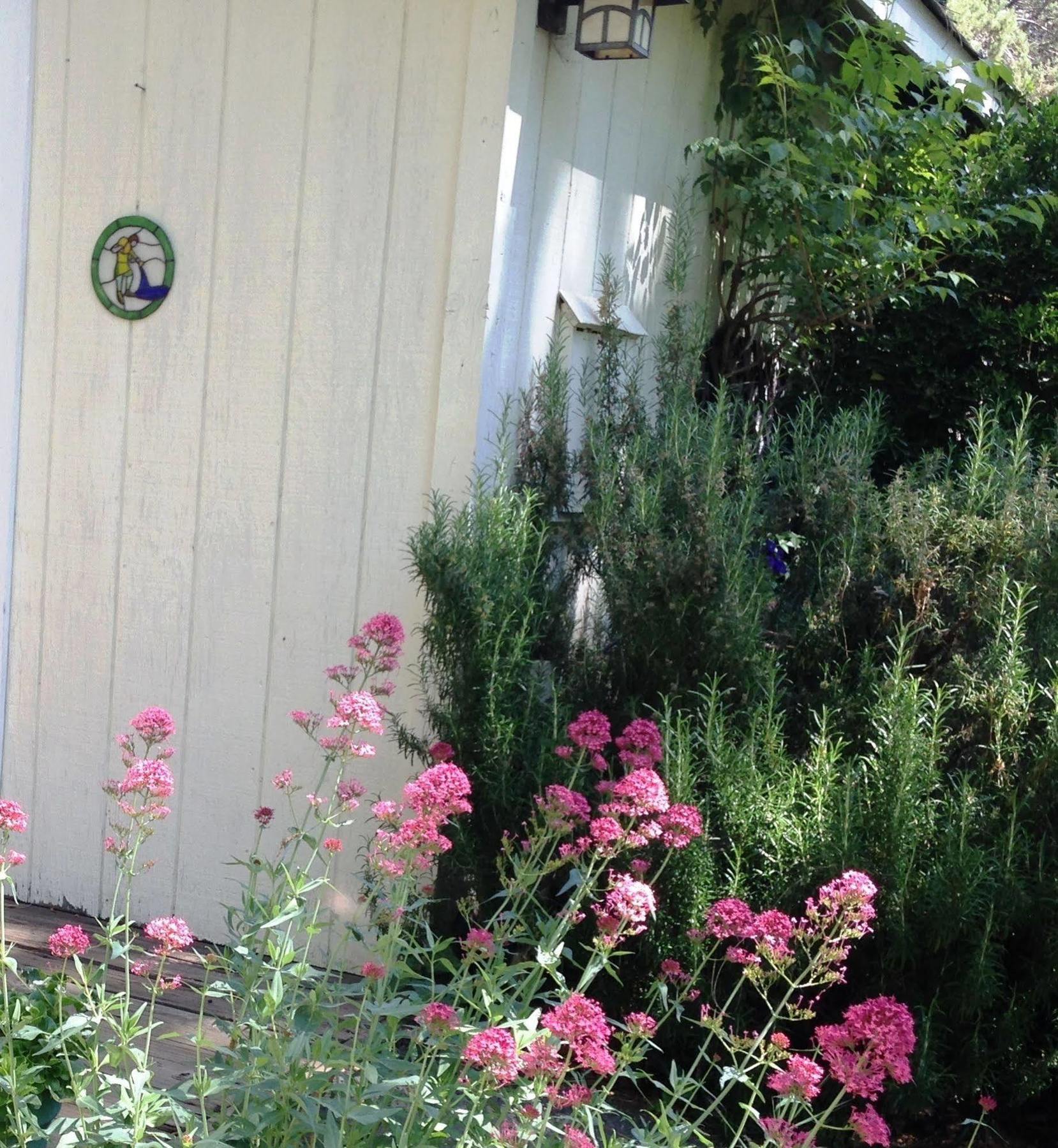 Bed and Breakfast Backyard Garden Oasis Middletown Экстерьер фото